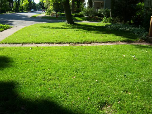 000_0019.jpg